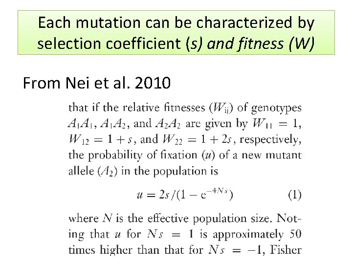 Each mutation can be characterized by selection coefficient (s) and fitness (W) From Nei