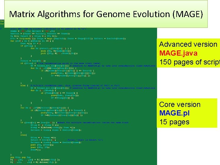 Matrix Algorithms for Genome Evolution (MAGE) Advanced version MAGE. java 150 pages of script