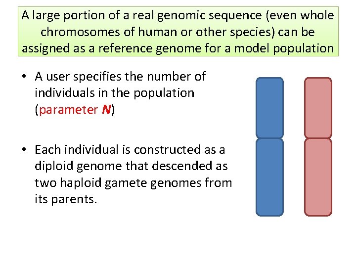 A large portion of a real genomic sequence (even whole chromosomes of human or