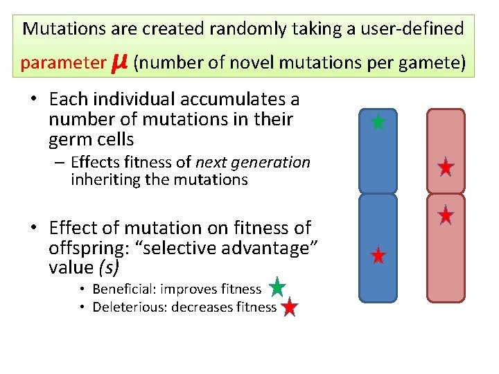 Mutations are created randomly taking a user-defined parameter μ (number of novel mutations per