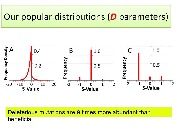 Our popular distributions (D parameters) Deleterious mutations are 9 times more abundant than beneficial