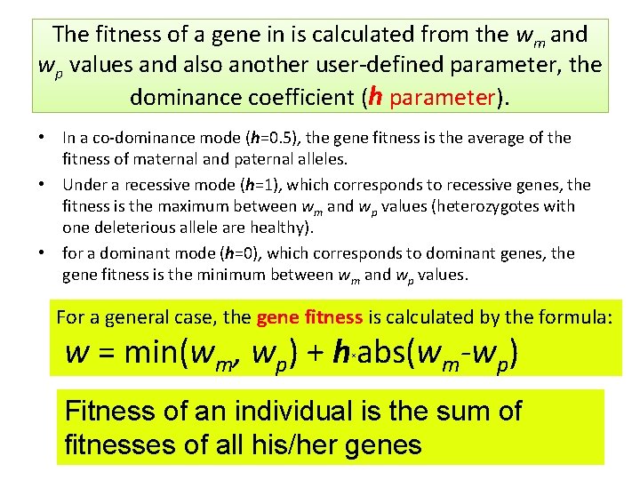 The fitness of a gene in is calculated from the wm and wp values