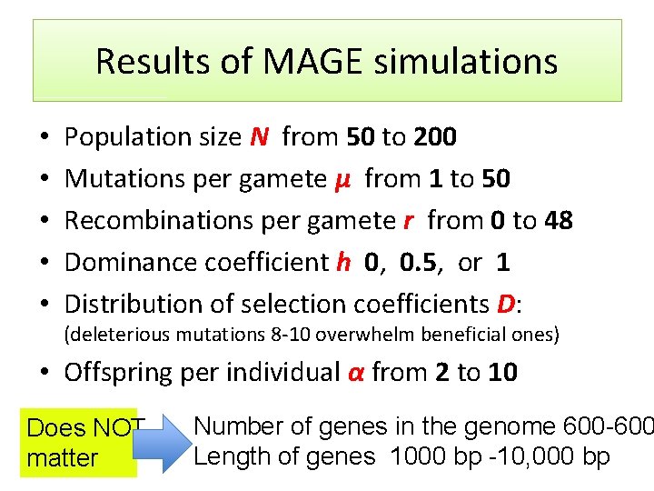 Results of MAGE simulations • • • Population size N from 50 to 200