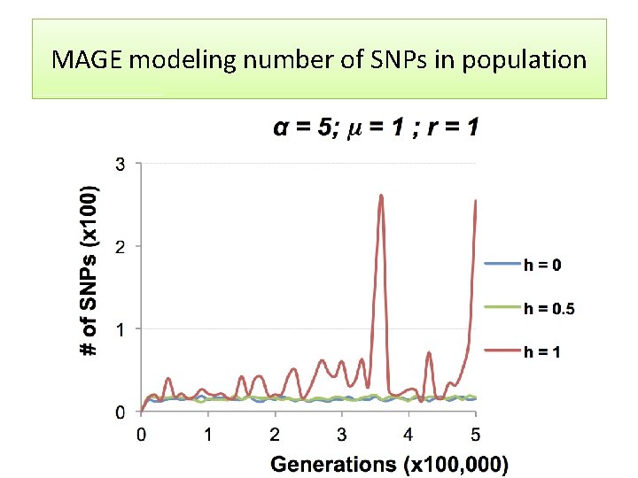 MAGE modeling number of SNPs in population 