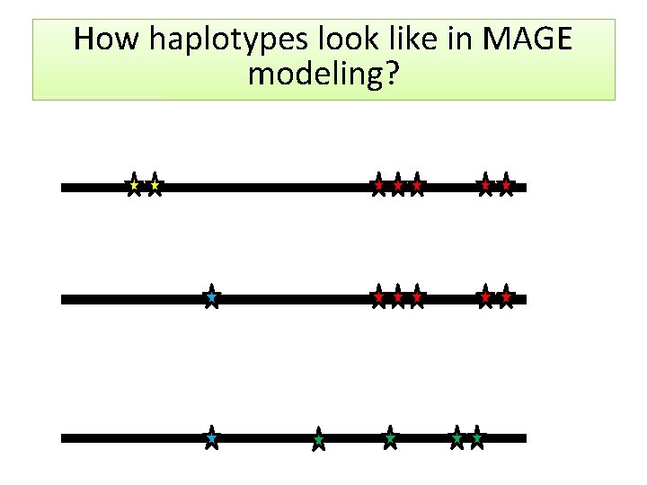 How haplotypes look like in MAGE modeling? 