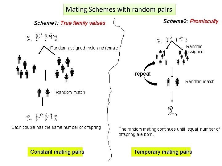 Mating Schemes with random pairs Scheme 2: Promiscuity Scheme 1: True family values Random