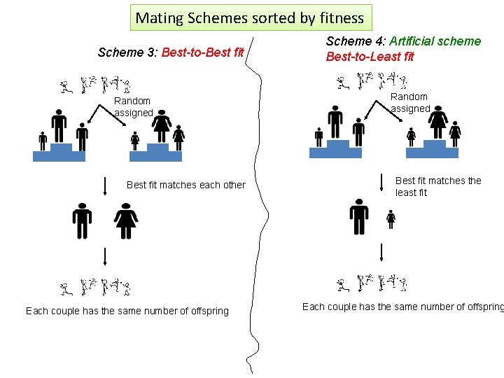 Mating Schemes sorted by fitness Scheme 3: Best-to-Best fit Random assigned Best fit matches