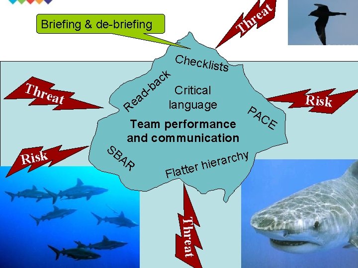 t a e r Th Briefing & de-briefing k c a Thr eat Risk