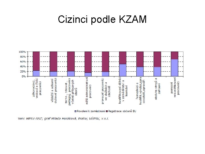 Cizinci podle KZAM 