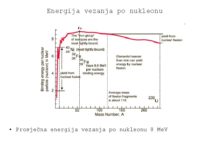 Energija vezanja po nukleonu • Prosječna energija vezanja po nukleonu 8 Me. V 