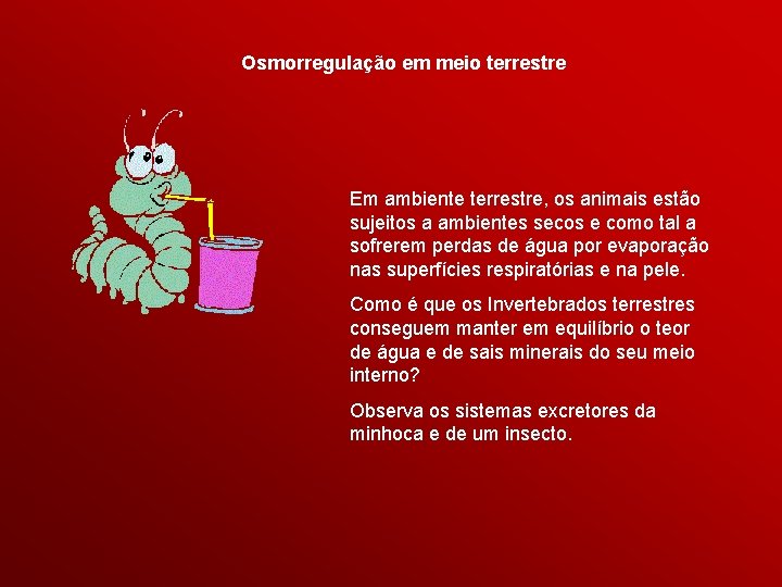 Osmorregulação em meio terrestre Em ambiente terrestre, os animais estão sujeitos a ambientes secos