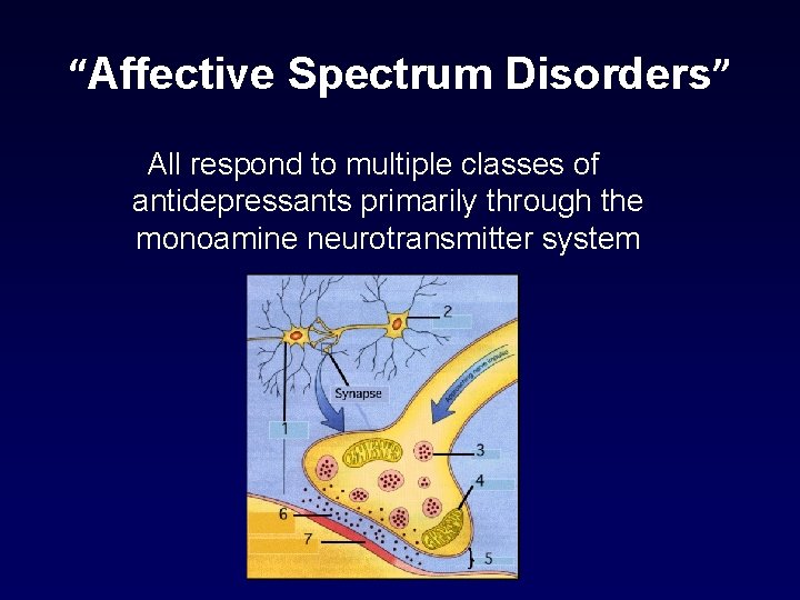 “Affective Spectrum Disorders” All respond to multiple classes of antidepressants primarily through the monoamine “Affective Spectrum Disorders” All respond to multiple classes of antidepressants primarily through the monoamine