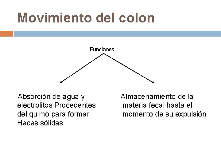 Movimiento del colon Funciones Absorción de agua y electrolitos Procedentes del quimo para formar