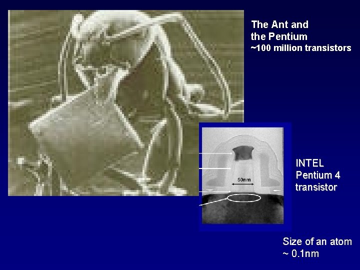The Ant and the Pentium ~100 million transistors INTEL Pentium 4 transistor Size of