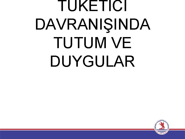TÜKETİCİ DAVRANIŞINDA TUTUM VE DUYGULAR 