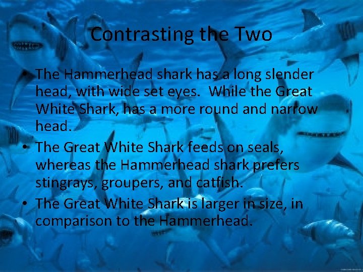 Contrasting the Two • The Hammerhead shark has a long slender head, with wide