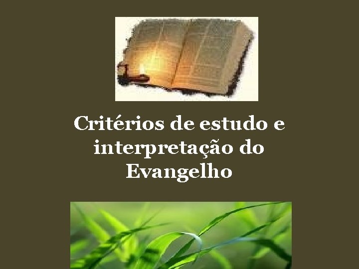 Critérios de estudo e interpretação do Evangelho 