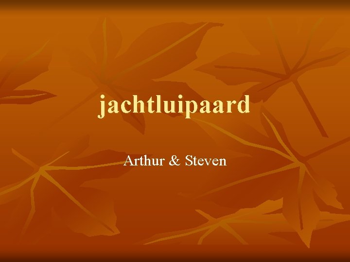 jachtluipaard Arthur & Steven 