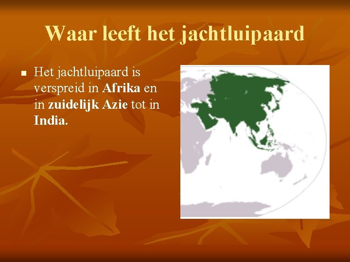 Waar leeft het jachtluipaard n Het jachtluipaard is verspreid in Afrika en in zuidelijk