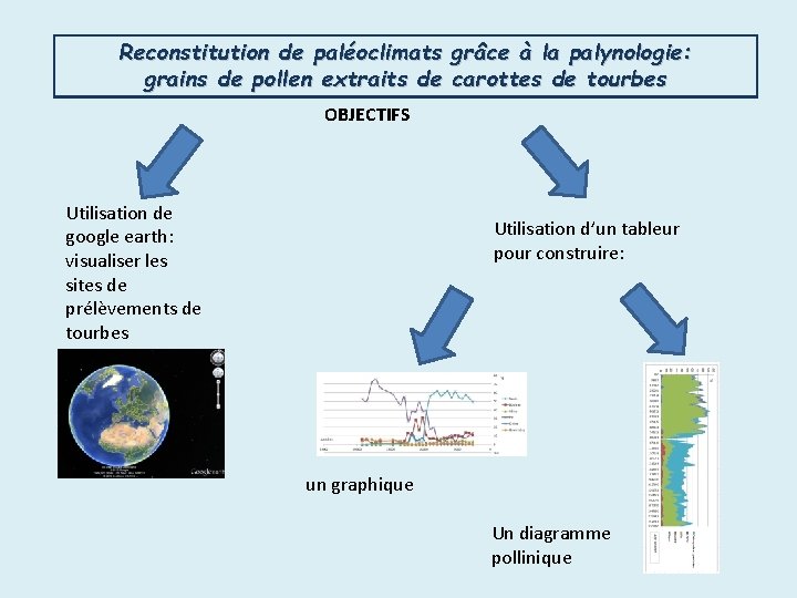 Reconstitution de paléoclimats grâce à la palynologie: grains de pollen extraits de carottes de