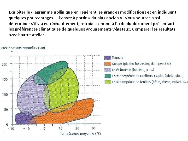 Exploiter le diagramme pollinique en repérant les grandes modifications et en indiquant quelques pourcentages….