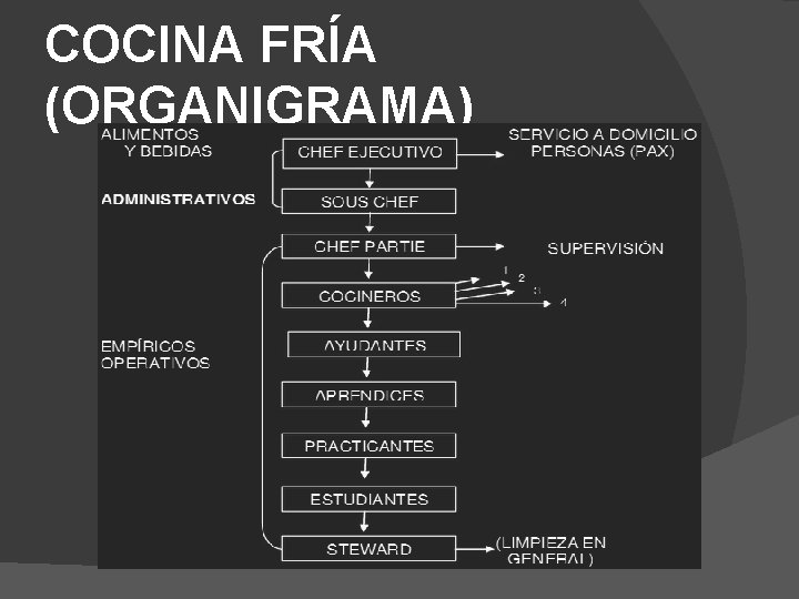 COCINA FRÍA (ORGANIGRAMA) 