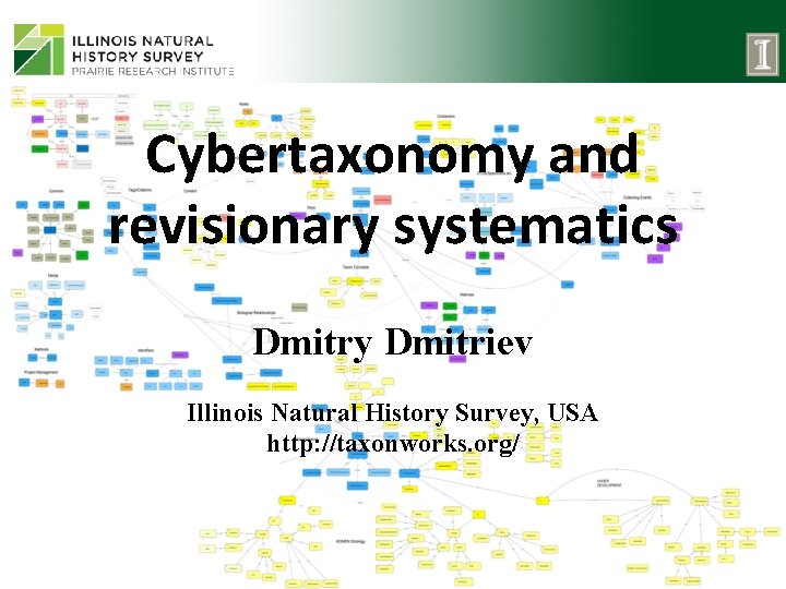 Cybertaxonomy and revisionary systematics Dmitry Dmitriev Illinois Natural History Survey, USA http: //taxonworks. org/