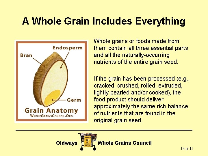 A Whole Grain Includes Everything Whole grains or foods made from them contain all