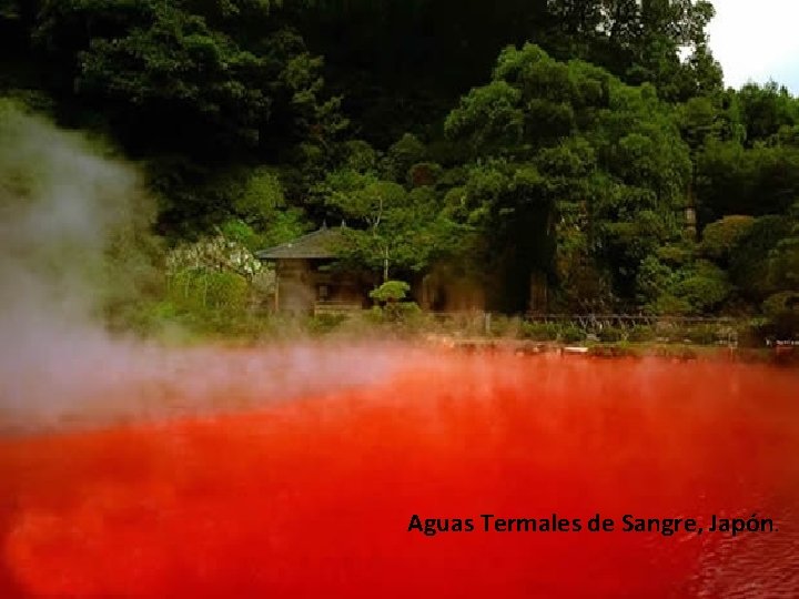 Aguas Termales de Sangre, Japón. 