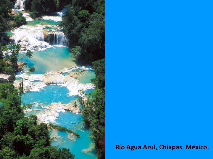 Río Agua Azul, Chiapas. México. 