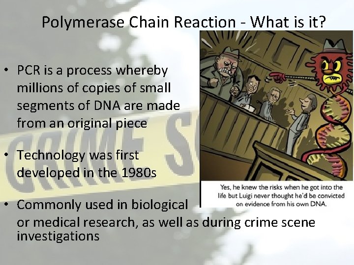 Polymerase Chain Reaction - What is it? • PCR is a process whereby millions