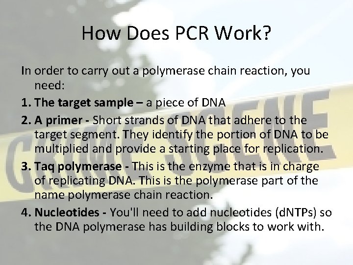 How Does PCR Work? In order to carry out a polymerase chain reaction, you