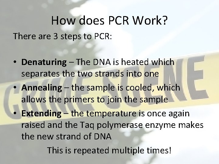 How does PCR Work? There are 3 steps to PCR: • Denaturing – The