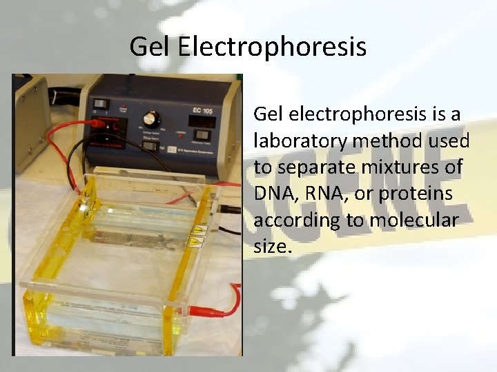 Gel Electrophoresis Gel electrophoresis is a laboratory method used to separate mixtures of DNA,