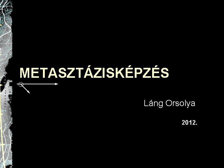 METASZTÁZISKÉPZÉS Láng Orsolya 2012. 