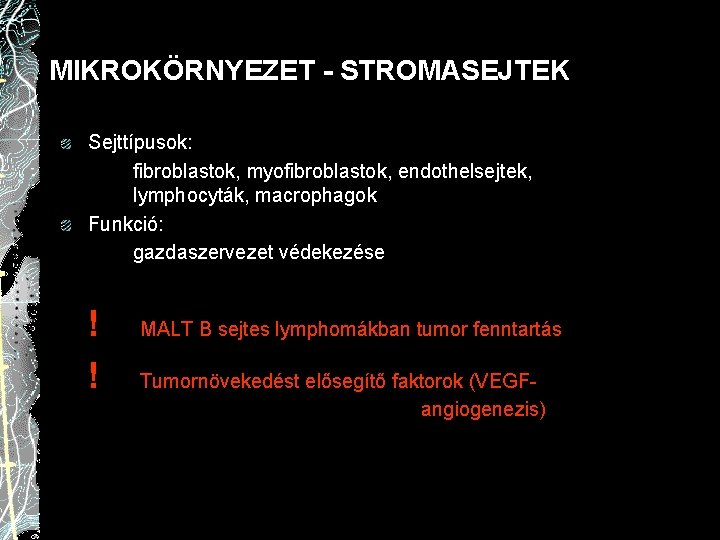 MIKROKÖRNYEZET - STROMASEJTEK Sejttípusok: fibroblastok, myofibroblastok, endothelsejtek, lymphocyták, macrophagok Funkció: gazdaszervezet védekezése ! !