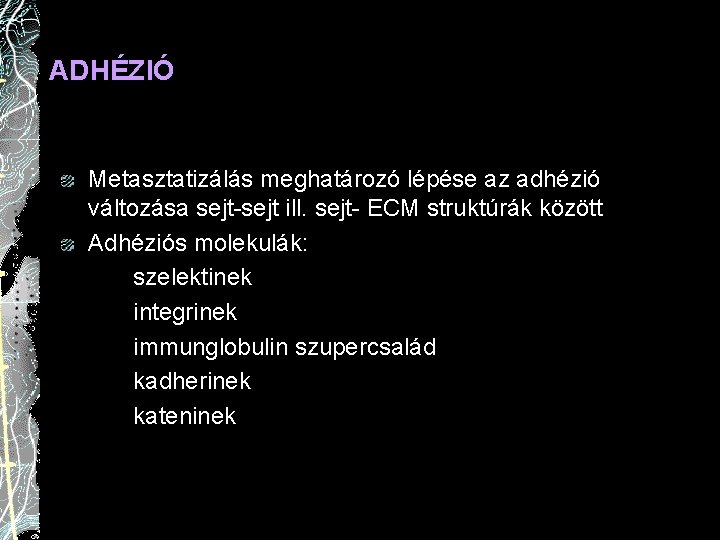 ADHÉZIÓ Metasztatizálás meghatározó lépése az adhézió változása sejt-sejt ill. sejt- ECM struktúrák között Adhéziós