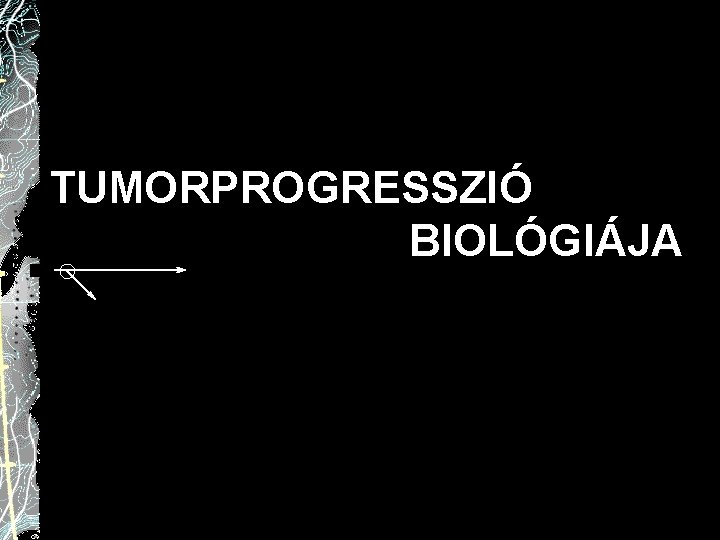 TUMORPROGRESSZIÓ BIOLÓGIÁJA 