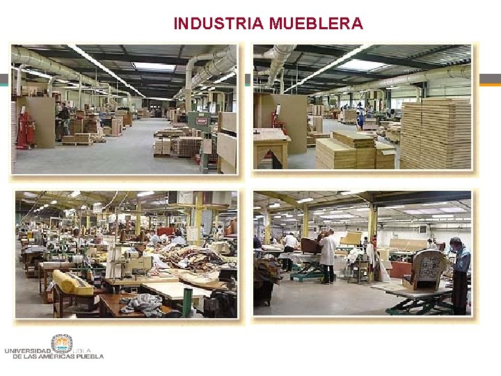 INDUSTRIA MUEBLERA 