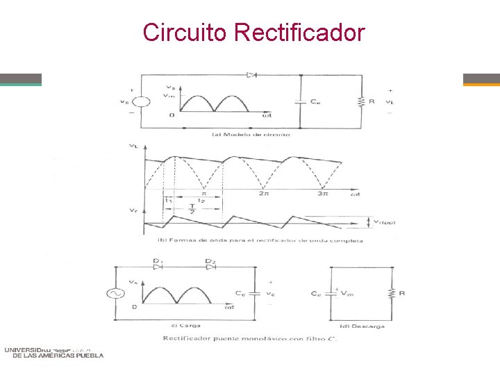 Circuito Rectificador 