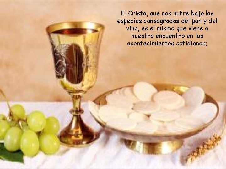 El Cristo, que nos nutre bajo las especies consagradas del pan y del vino,