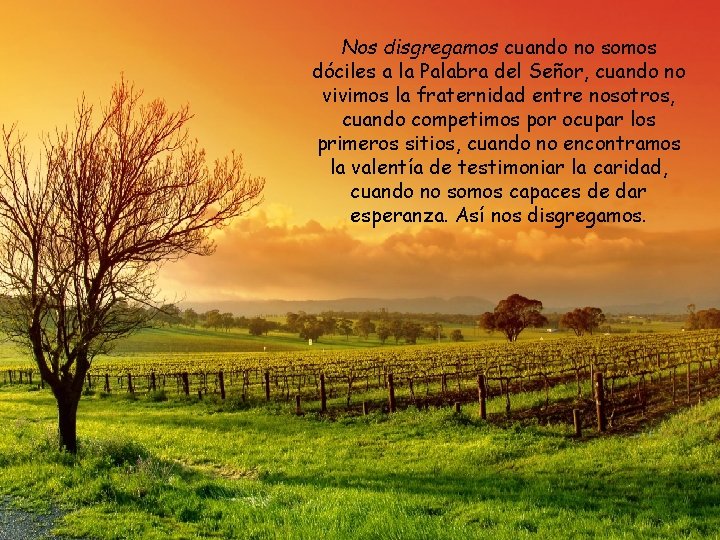 Nos disgregamos cuando no somos dóciles a la Palabra del Señor, cuando no vivimos