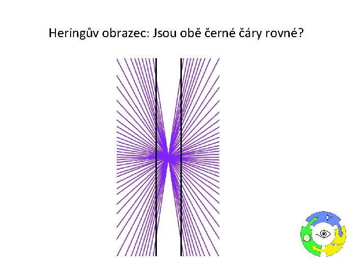 Heringův obrazec: Jsou obě černé čáry rovné? 