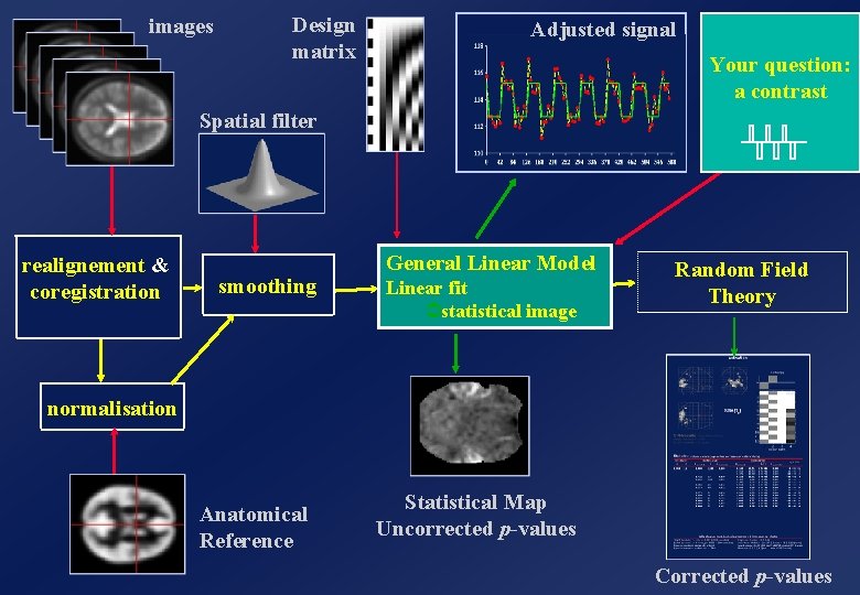 images Design matrix Adjusted signal Your question: a contrast Spatial filter realignement & coregistration