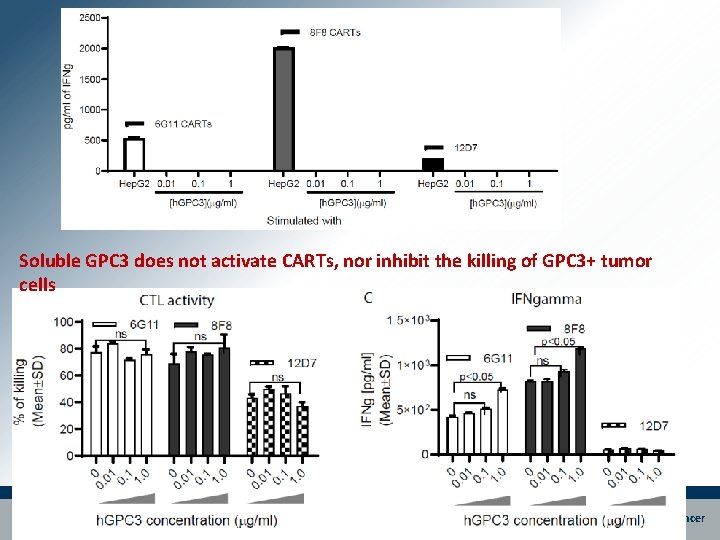 Soluble GPC 3 does not activate CARTs, nor inhibit the killing of GPC 3+ Soluble GPC 3 does not activate CARTs, nor inhibit the killing of GPC 3+