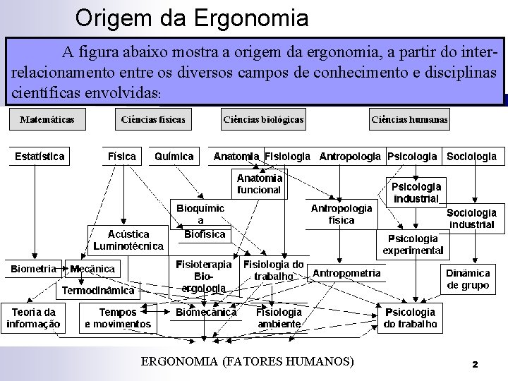Origem da Ergonomia A figura abaixo mostra a origem da ergonomia, a partir do