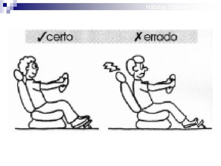 Hábitos Diários / Posturas 