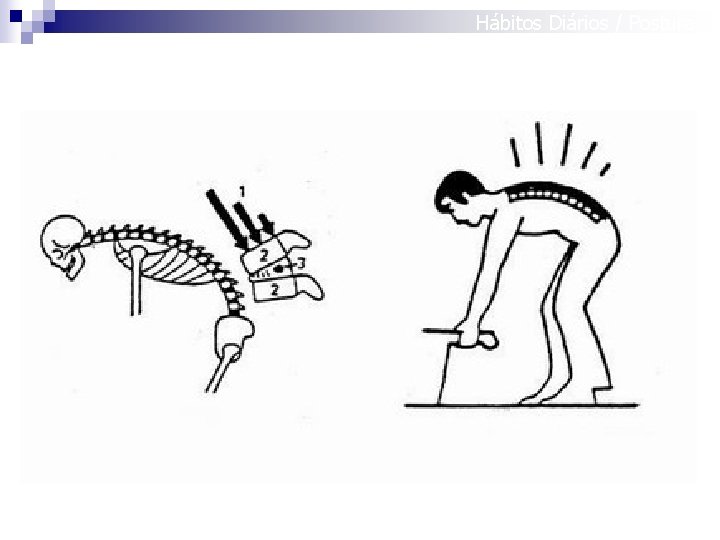 Hábitos Diários / Posturas 