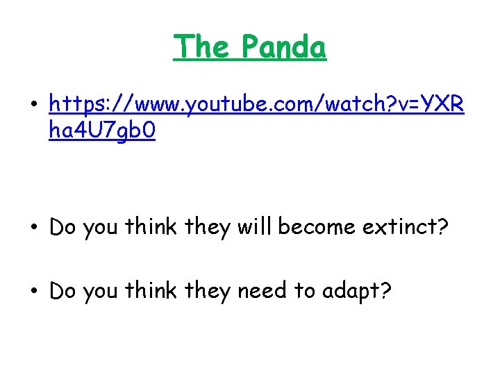 The Panda • https: //www. youtube. com/watch? v=YXR ha 4 U 7 gb 0