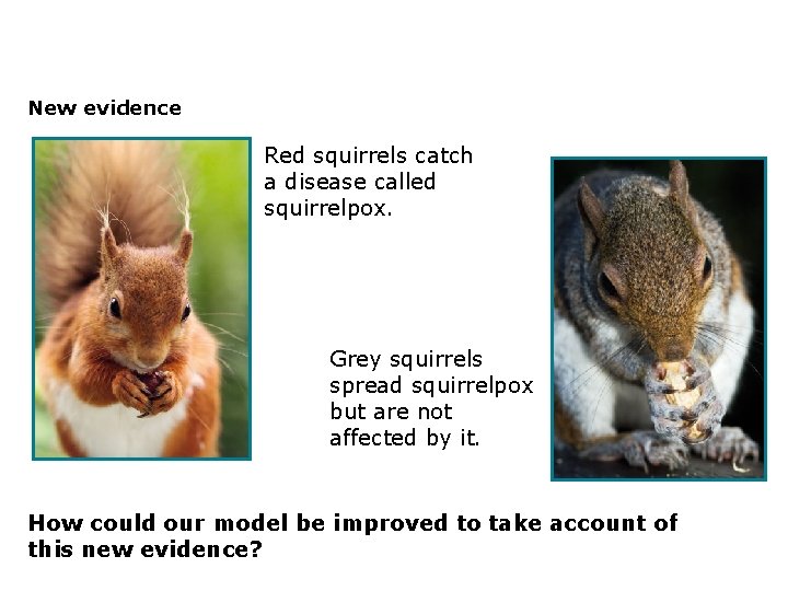 3. 2 Compete or die! New evidence Red squirrels catch a disease called squirrelpox.